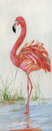 Picture of FLAMINGO II