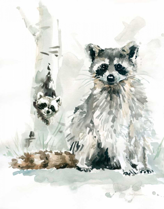 Picture of RACCOON AND BABY