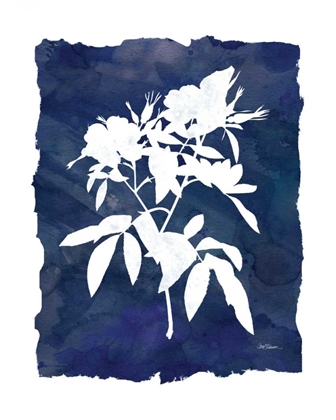 Picture of INDIGO BOTANICAL I