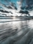 Picture of SILVER SUN