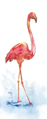 Picture of FLAMINGO SPLASH I