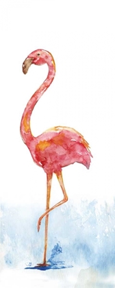 Picture of FLAMINGO SPLASH II