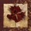 Picture of IRIS