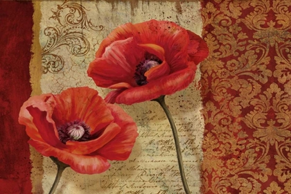 Picture of POPPY FLOURISH