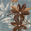 Picture of FLOWERS ON DENIM IV