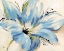 Picture of TOUCH OF BLUE I
