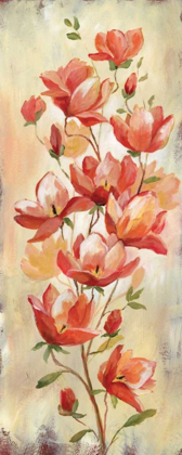 Picture of BLUSHING BEAUTIES I