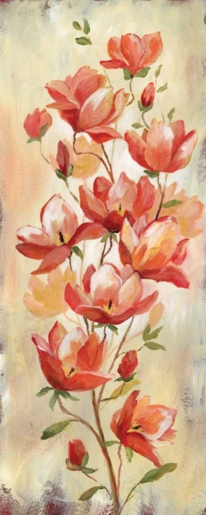 Picture of BLUSHING BEAUTIES I