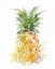 Picture of DELICIOUS RIPE