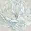 Picture of MORNING PETALS