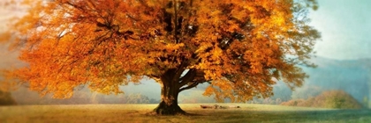 Picture of AUTUMN EMOTION