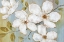 Picture of WHITE BLOSSOMS