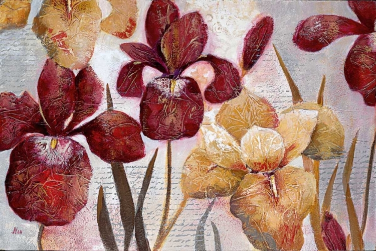 Picture of IRIS INSPIRATIONS