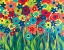 Picture of POPPING POSIES