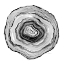 Picture of BLACK AND WHITE