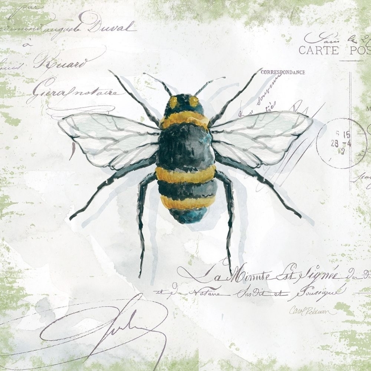 Picture of GARDEN BEE