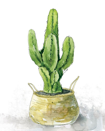 Picture of TALL CACTUS