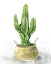 Picture of TALL CACTUS