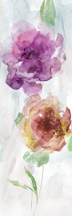 Picture of WATERCOLOR STEMS I