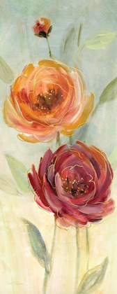 Picture of SWEET POPPIES II