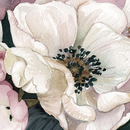 Picture of ANEMONE STUDY III