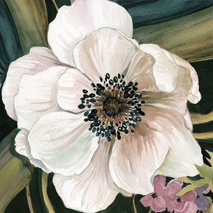 Picture of ANEMONE STUDY IV