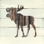 Picture of WOODLAND MOOSE