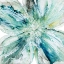 Picture of BLOSSOM BURSTS