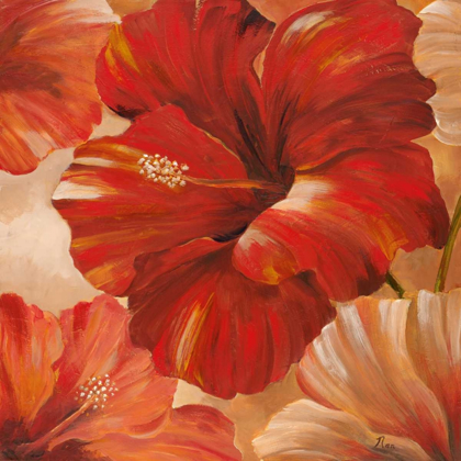 Picture of SUNLIT BLOOM II
