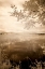 Picture of PEACEFUL MORNING II