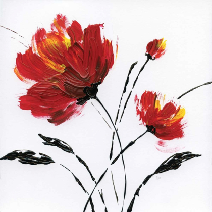 Picture of RED POPPY SPLASH II