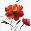 Picture of RED POPPY SPLASH III