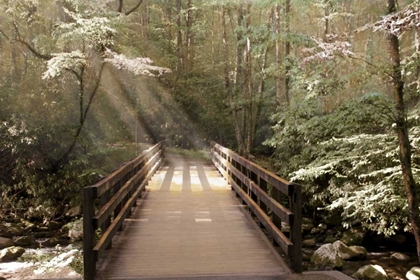 Picture of FOOTBRIDGE