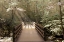 Picture of FOOTBRIDGE