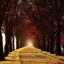 Picture of WONDER CURVE