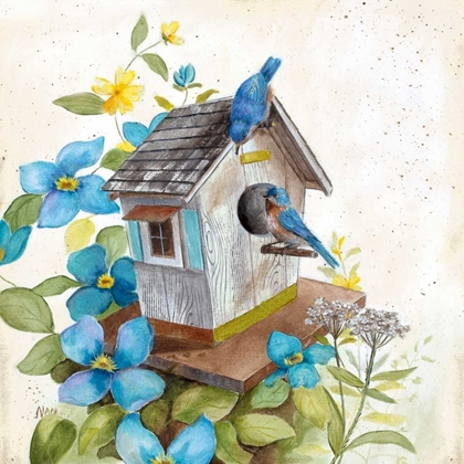 Picture of BLUEBIRDS