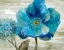Picture of BLUE POPPY POEM II