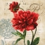 Picture of THE BOTANICAL
