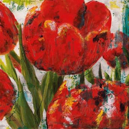Picture of PAINTED TULIPS II