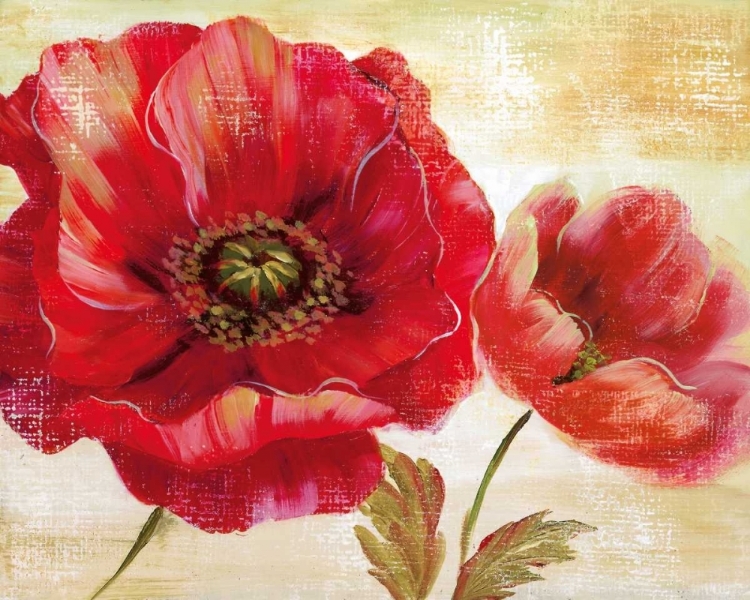 Picture of PASSION FOR POPPIES I