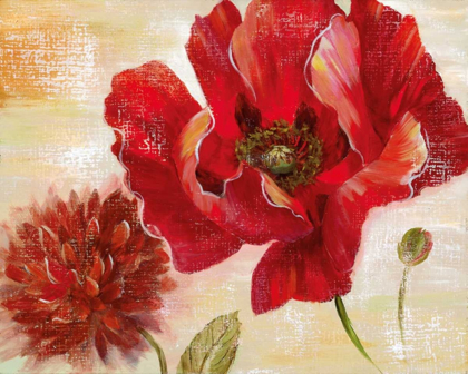 Picture of PASSION FOR POPPIES II