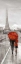 Picture of PARIS STROLL