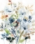 Picture of HOLLAND SPRING MIX