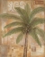 Picture of TROPICAL SPIRIT II