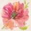 Picture of BOTANICAL POPPY