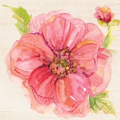 Picture of BOTANICAL PEONY