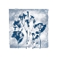 Picture of INDIGO SUMMER