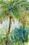 Picture of VINTAGE PALM