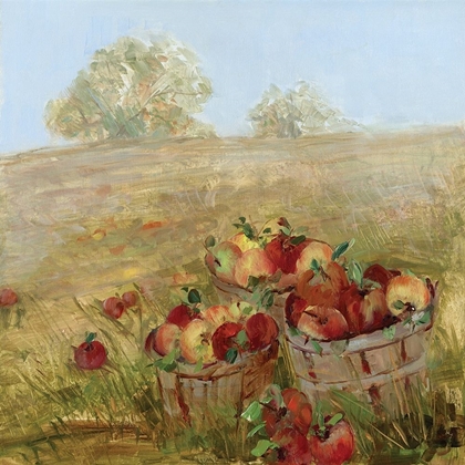 Picture of APPLE PICKING I
