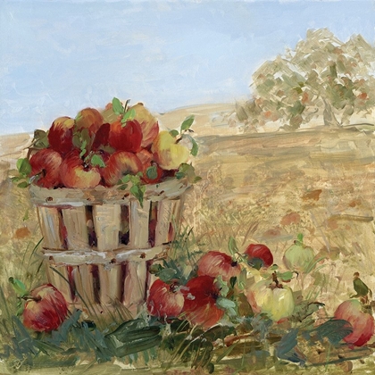 Picture of APPLE PICKING III